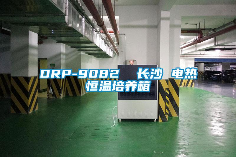 DRP-9082  长沙 电热恒温培养箱