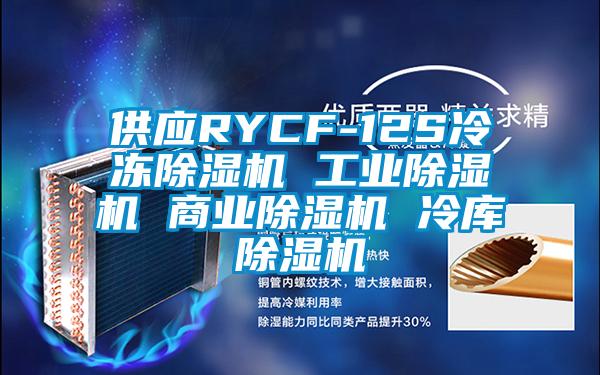 供应RYCF-12S冷冻除湿机 工业除湿机 商业除湿机 冷库除湿机