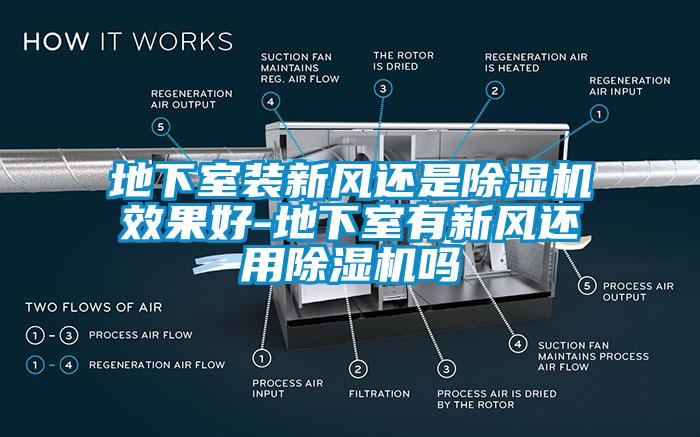 地下室装新风还是除湿机效果好-地下室有新风还用除湿机吗