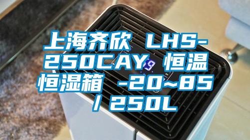 上海齐欣 LHS-250CAY 恒温恒湿箱 -20~85℃／250L