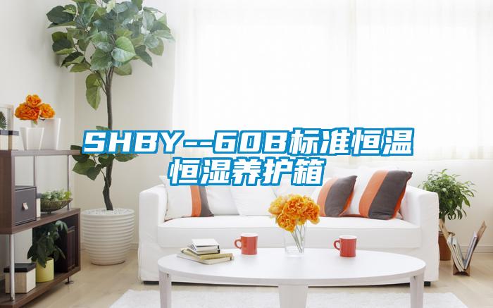 SHBY--60B标准恒温恒湿养护箱