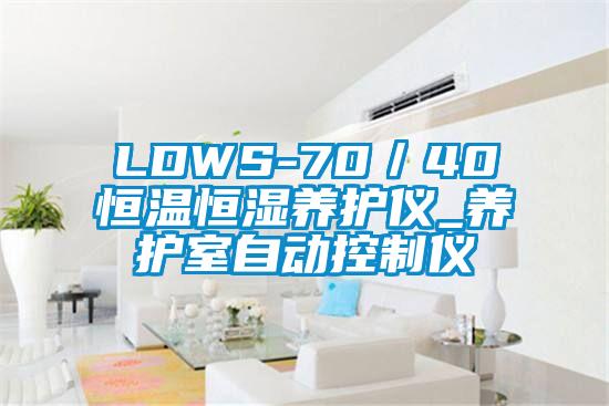 LDWS-70／40恒温恒湿养护仪_养护室自动控制仪