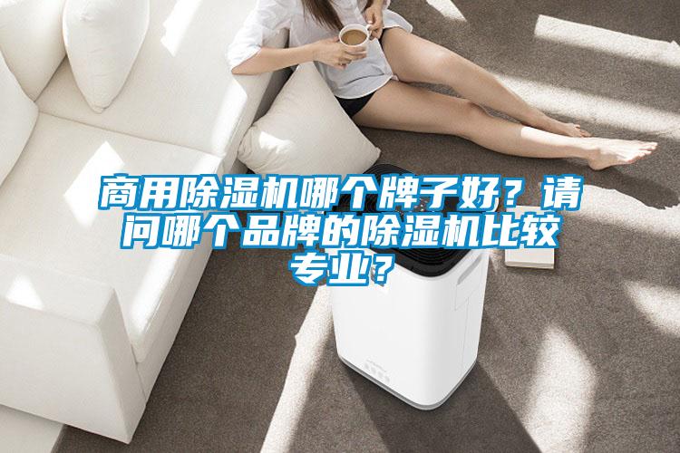 商用除湿机哪个牌子好？请问哪个品牌的除湿机比较专业？