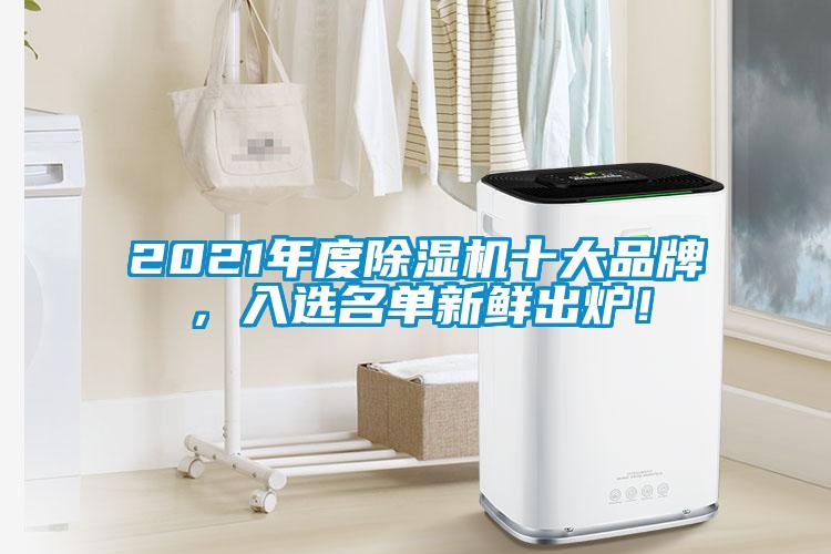 2021年度除湿机十大品牌，入选名单新鲜出炉！