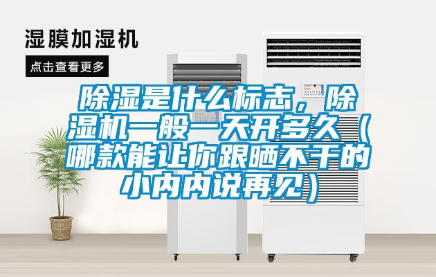 除湿是什么标志，除湿机一般一天开多久（哪款能让你跟晒不干的小内内说再见）