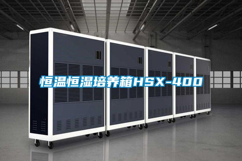 恒温恒湿培养箱HSX-400