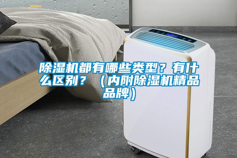 除湿机都有哪些类型？有什么区别？（内附除湿机精品品牌）