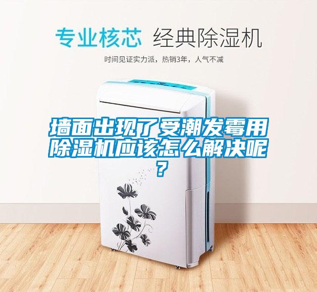 墙面出现了受潮发霉用除湿机应该怎么解决呢？