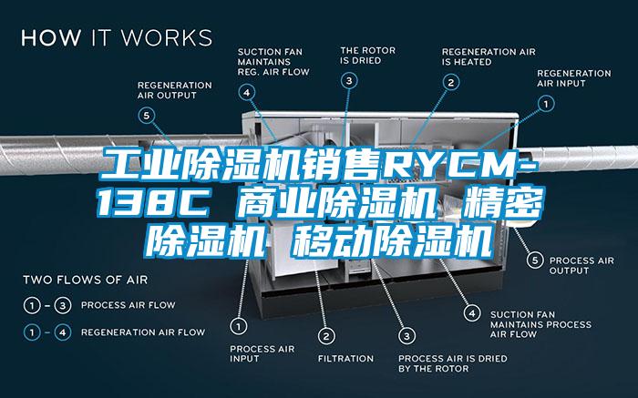 工业除湿机销售RYCM-138C 商业除湿机 精密除湿机 移动除湿机