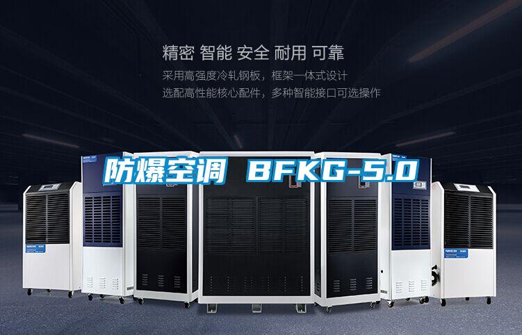 防爆空调 BFKG-5.0