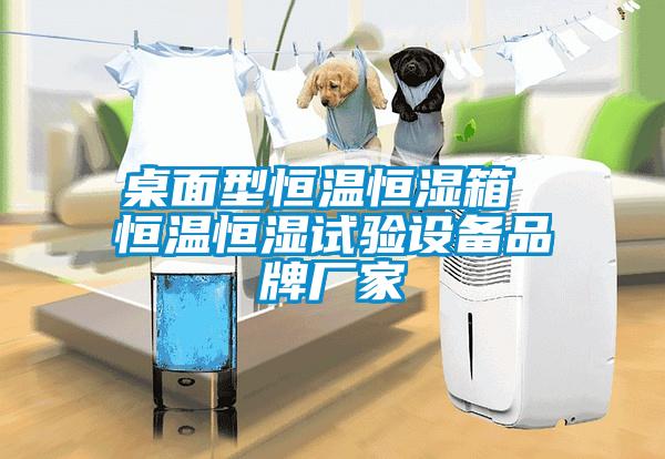 桌面型恒温恒湿箱 恒温恒湿试验设备品牌厂家