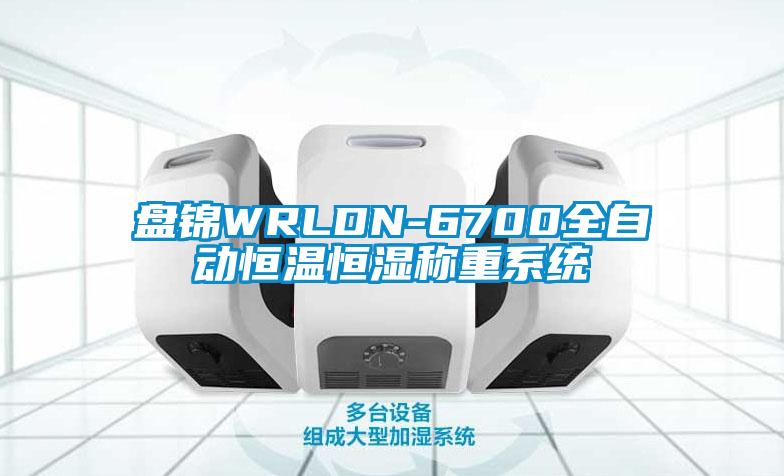 盘锦WRLDN-6700全自动恒温恒湿称重系统