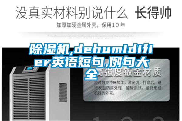 除湿机,dehumidifier英语短句,例句大全