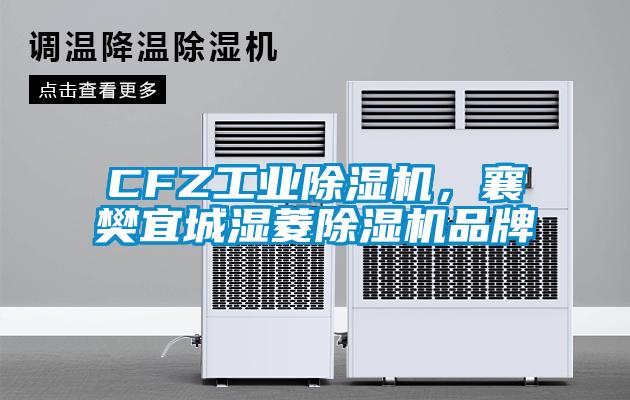 CFZ工业除湿机，襄樊宜城湿菱除湿机品牌