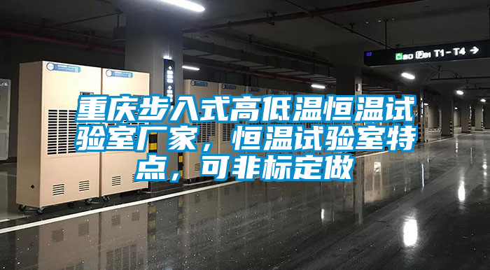 重庆步入式高低温恒温试验室厂家，恒温试验室特点，可非标定做