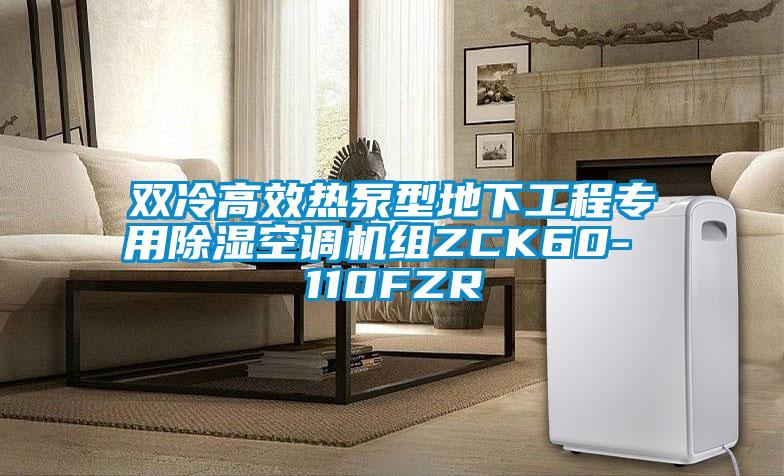 双冷高效热泵型地下工程专用除湿空调机组ZCK60- 110FZR