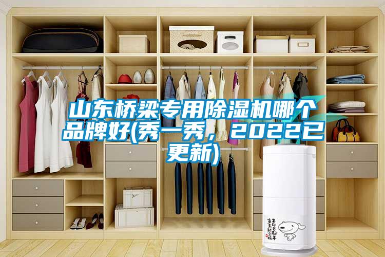 山东桥梁专用除湿机哪个品牌好(秀一秀，2022已更新)