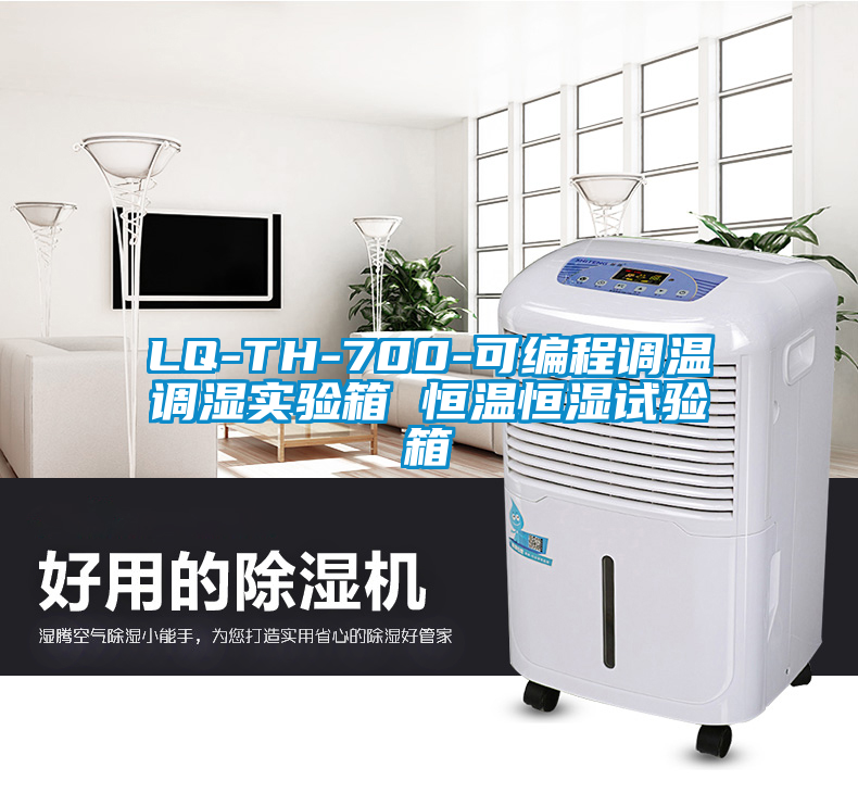 LQ-TH-700-可编程调温调湿实验箱 恒温恒湿试验箱