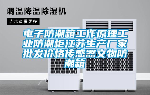 电子防潮箱工作原理工业防潮柜江苏生产厂家批发价格传感器文物防潮箱