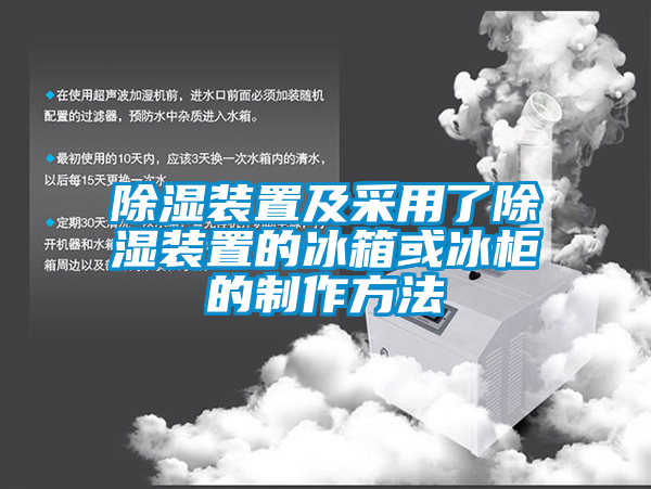 除湿装置及采用了除湿装置的冰箱或冰柜的制作方法