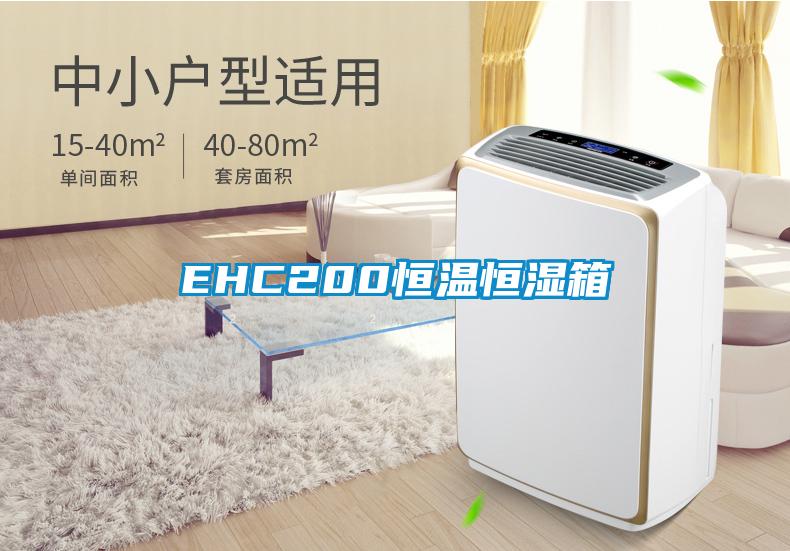 EHC200恒温恒湿箱