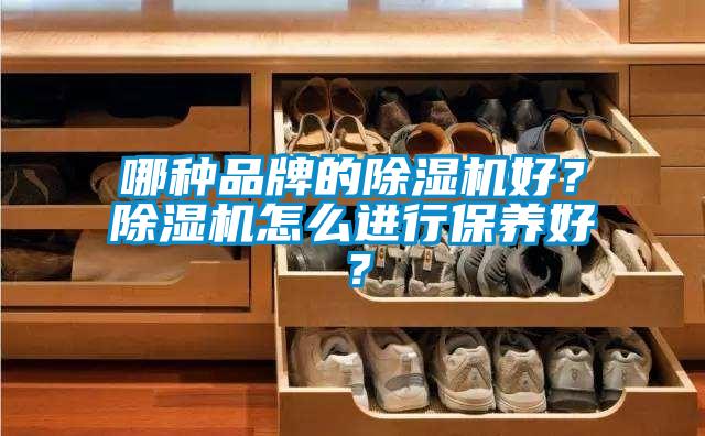 哪种品牌的除湿机好？除湿机怎么进行保养好？