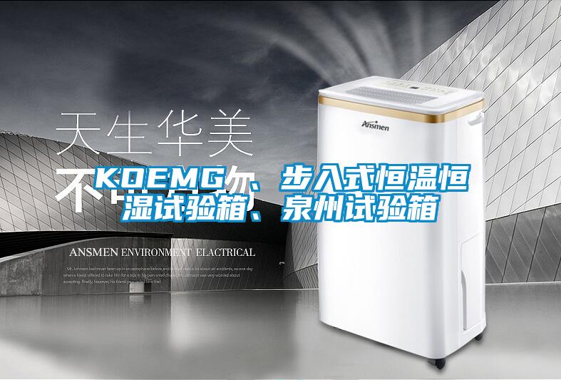 KOEMG 、步入式恒温恒湿试验箱、泉州试验箱