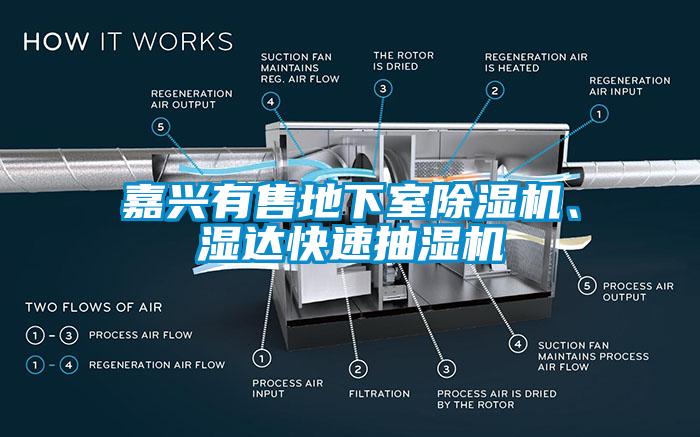 嘉兴有售地下室除湿机、湿达快速抽湿机