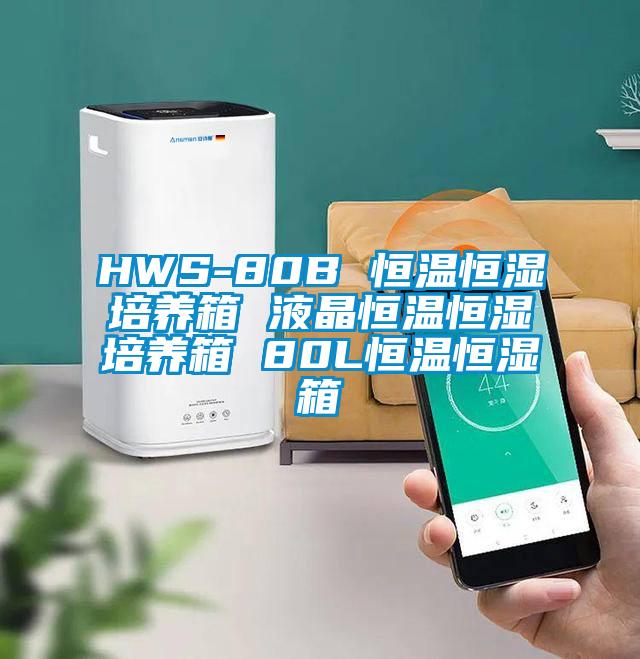 HWS-80B 恒温恒湿培养箱 液晶恒温恒湿培养箱 80L恒温恒湿箱