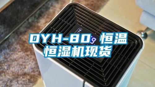 DYH-80 恒温恒湿机现货