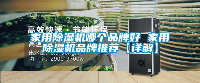 家用除湿机哪个品牌好 家用除湿机品牌推荐【详解】