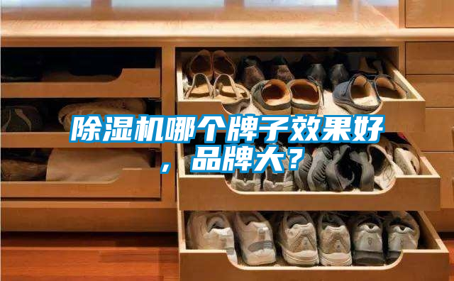 除湿机哪个牌子效果好，品牌大？