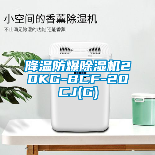 降温防爆除湿机20KG-BCF-20CJ(G)