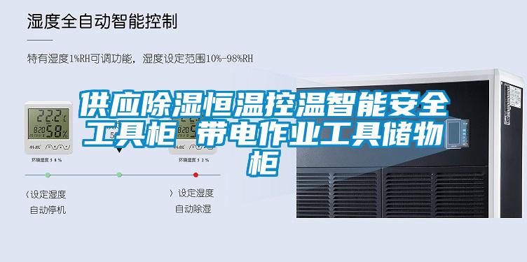 供应除湿恒温控温智能安全工具柜 带电作业工具储物柜