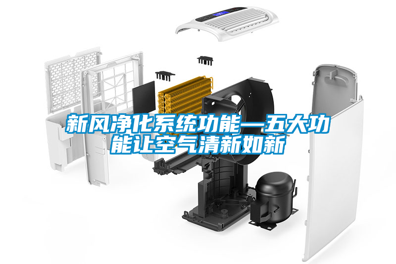 新风净化系统功能—五大功能让空气清新如新