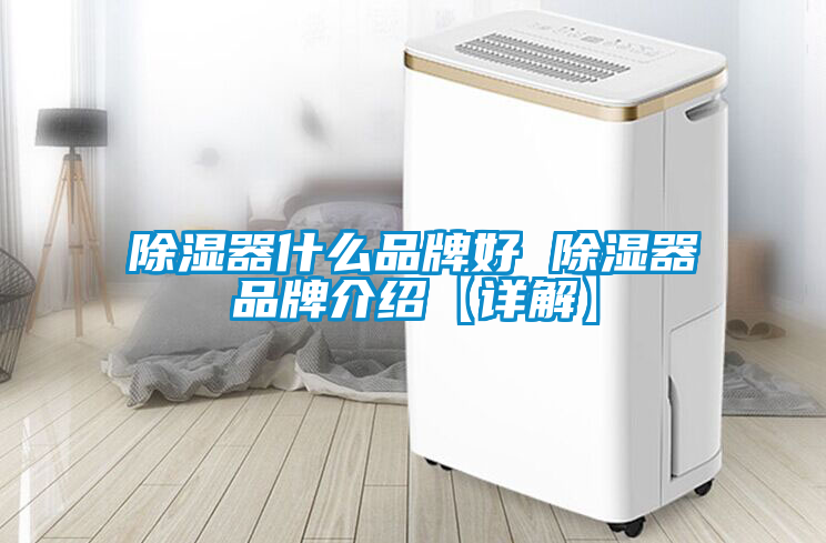 除湿器什么品牌好 除湿器品牌介绍【详解】