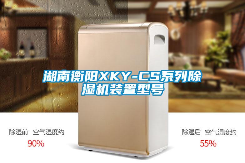 湖南衡阳XKY-CS系列除湿机装置型号