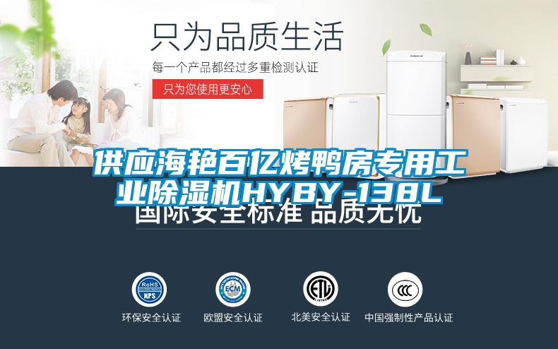 供应海艳百亿烤鸭房专用工业除湿机HYBY-138L