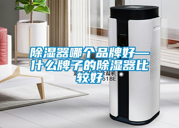 除湿器哪个品牌好—什么牌子的除湿器比较好