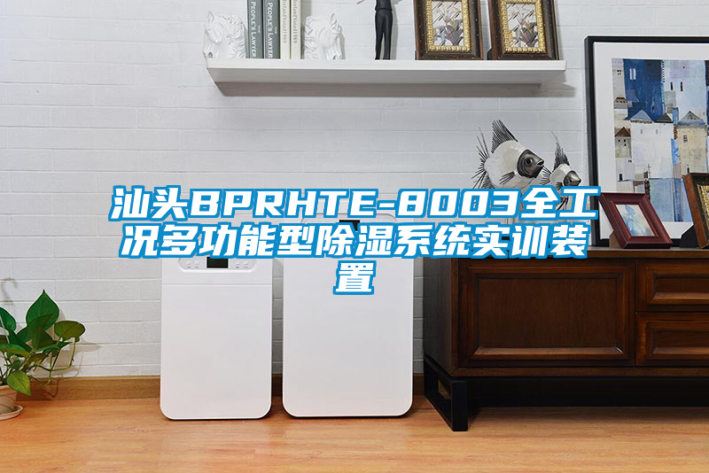 汕头BPRHTE-8003全工况多功能型除湿系统实训装置