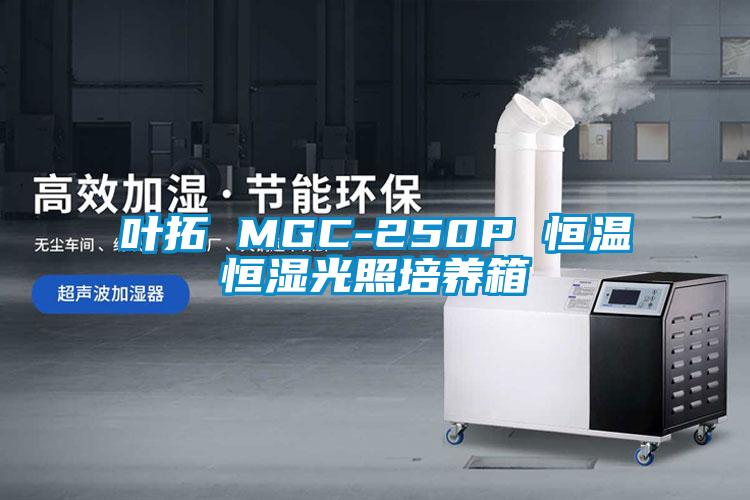 叶拓 MGC-250P 恒温恒湿光照培养箱