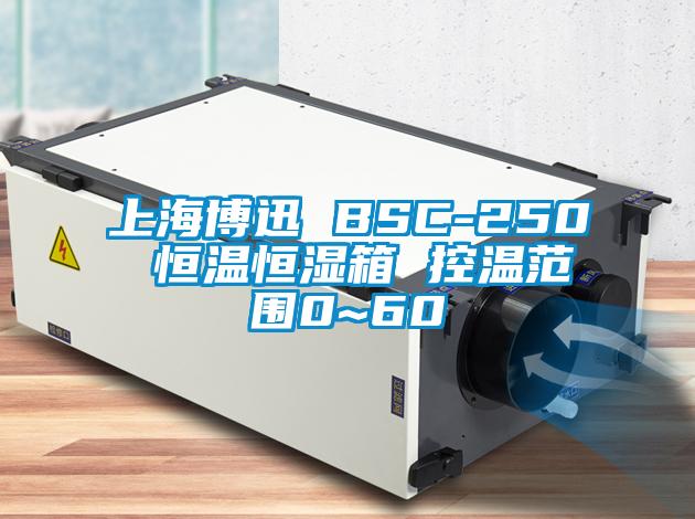 上海博迅 BSC-250 恒温恒湿箱 控温范围0~60℃