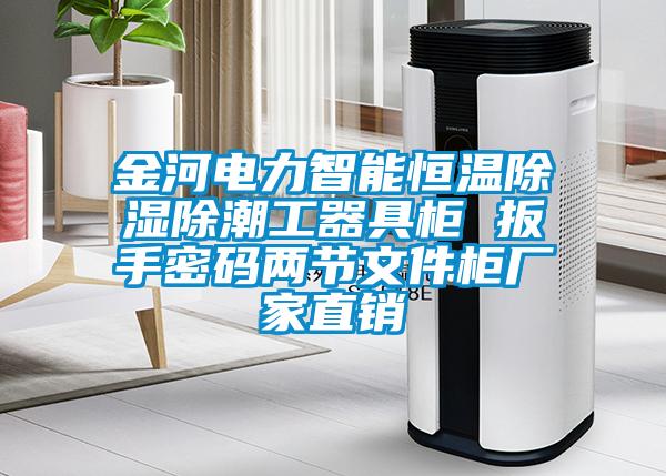 金河电力智能恒温除湿除潮工器具柜 扳手密码两节文件柜厂家直销