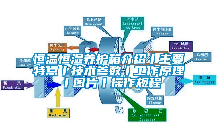 恒温恒湿养护箱介绍丨主要特点丨技术参数丨工作原理丨图片丨操作规程