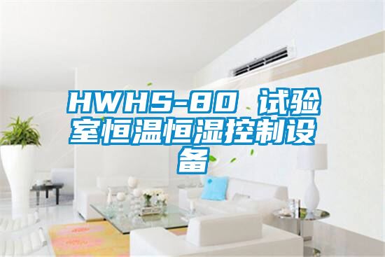 HWHS-80 试验室恒温恒湿控制设备