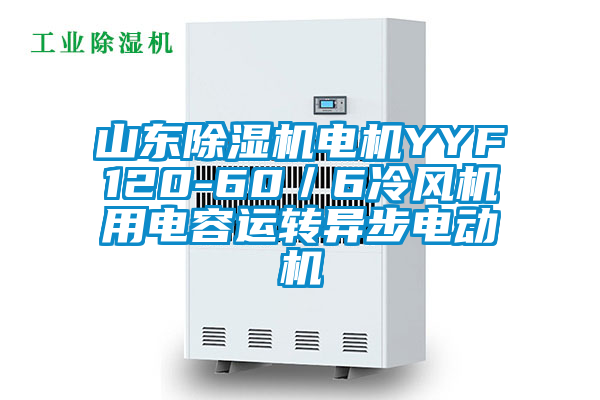 山东除湿机电机YYF120-60／6冷风机用电容运转异步电动机