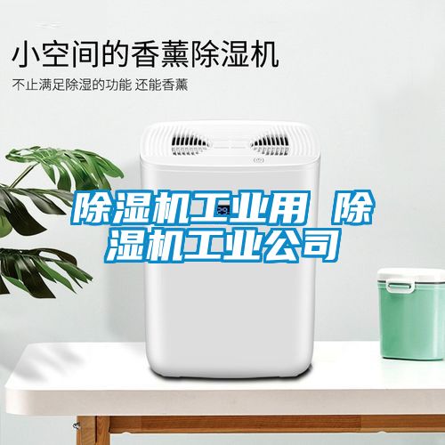 除湿机工业用 除湿机工业公司