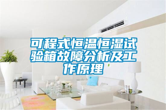 可程式恒温恒湿试验箱故障分析及工作原理