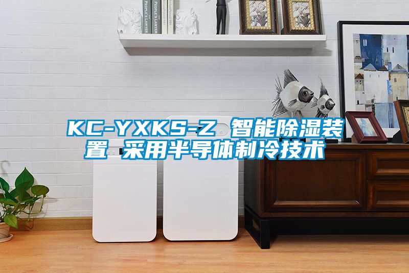 KC-YXKS-Z 智能除湿装置 采用半导体制冷技术