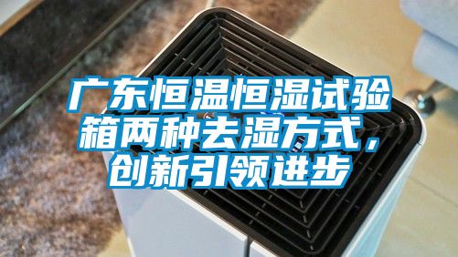 广东恒温恒湿试验箱两种去湿方式，创新引领进步